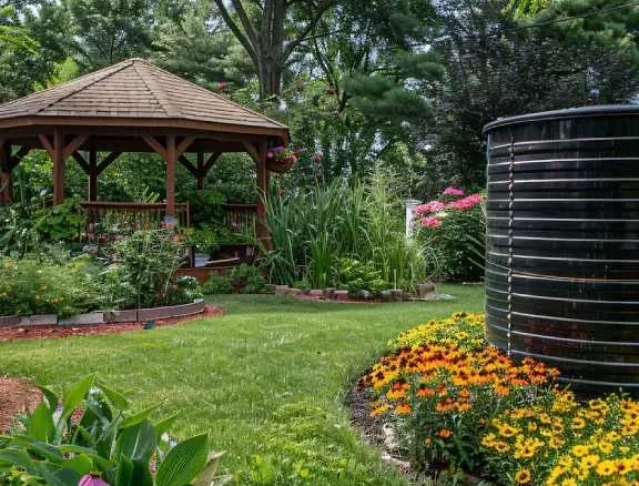 garden setup and design services for homes and hotels