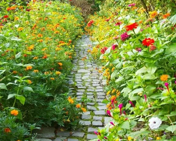 garden-landscaping