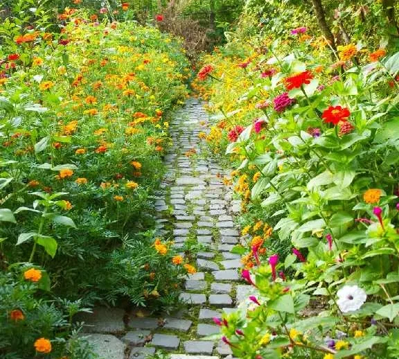 garden-landscaping