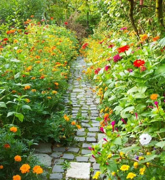 garden-landscaping