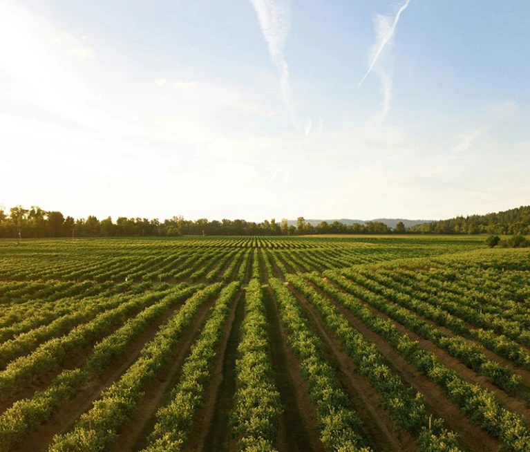 There are many variations of passages of Lorem Ipsum available, but majority have suffered teration in some form, by injected humour, or randomised words which don't look even slight believable. If you are going to use a passage of Lorem Ipsum.