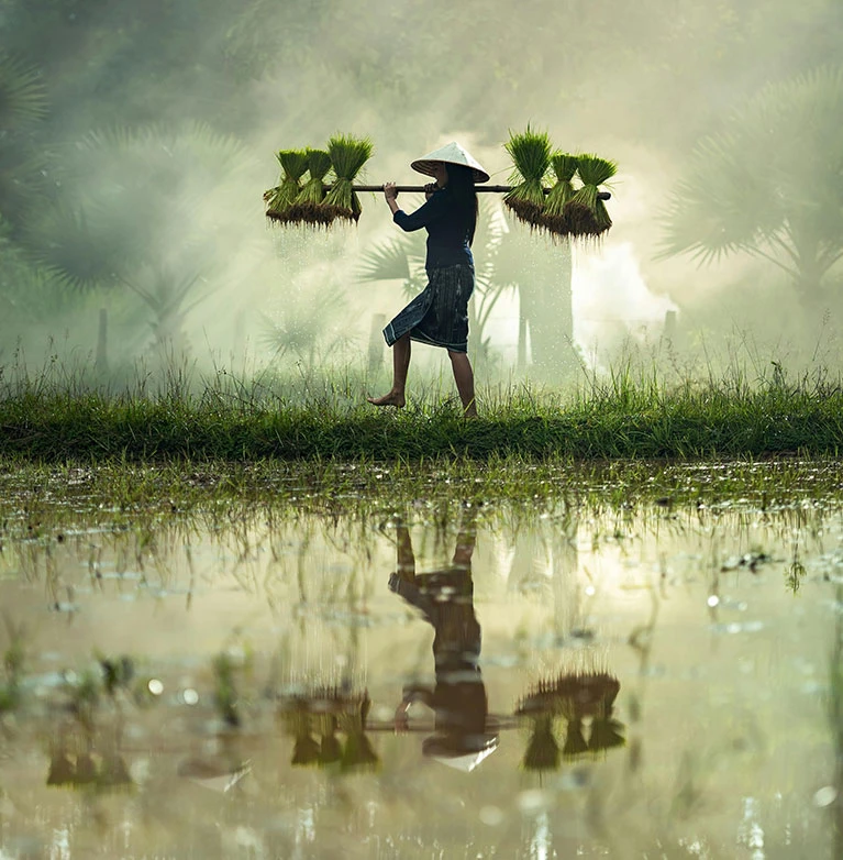 There are many variations of passages of Lorem Ipsum available, but majority have suffered teration in some form, by injected humour, or randomised words which don't look even slight believable. If you are going to use a passage of Lorem Ipsum.