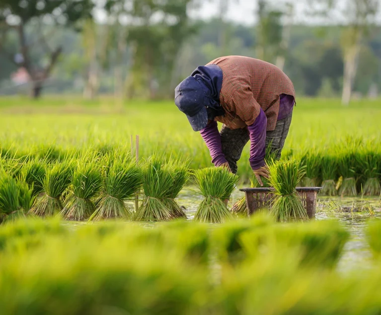 Accelerate innovation with world-class tech teams We’ll match you