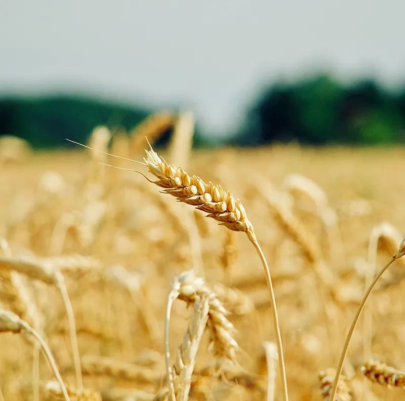 There are many variations of passages of Lorem Ipsum available, but majority have suffered teration in some form, by injected humour, or randomised words which don't look even slight believable. If you are going to use a passage of Lorem Ipsum.