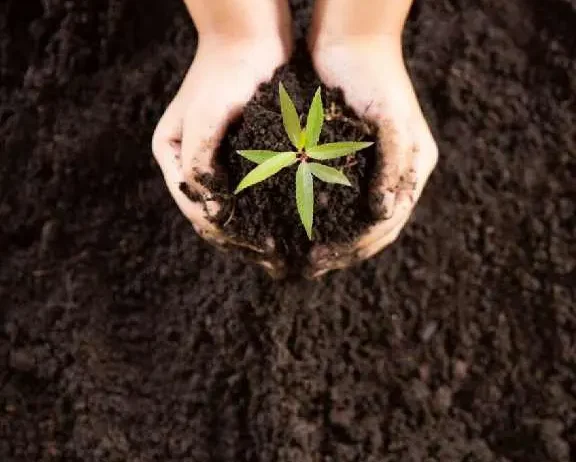 soil-care