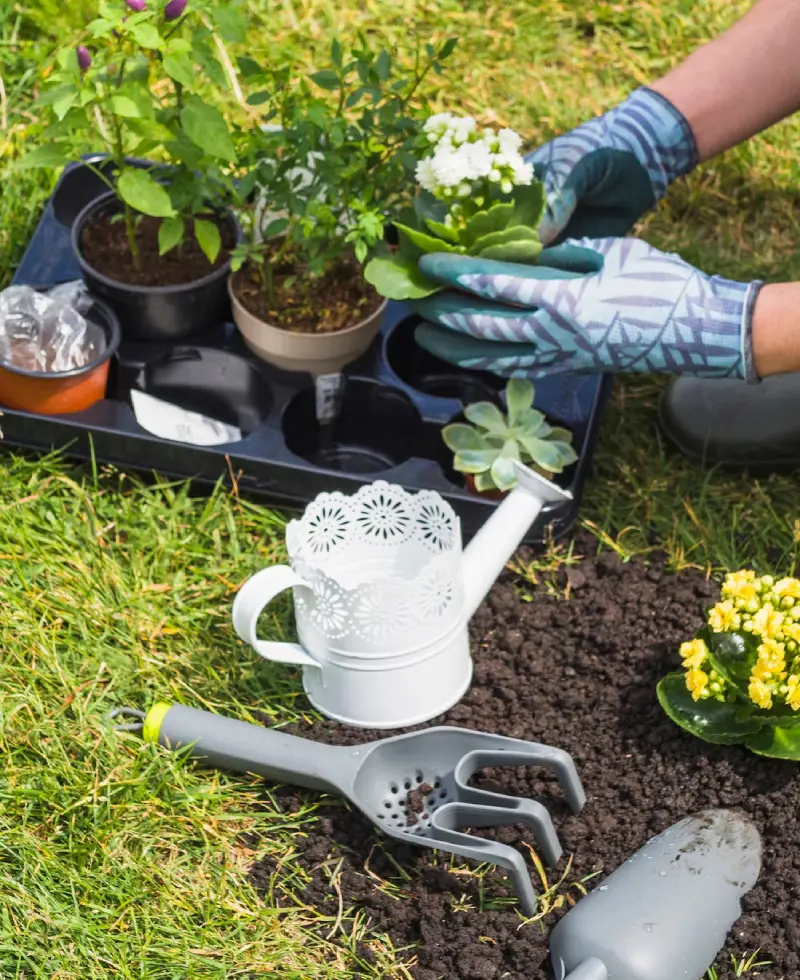 Rishikesh plant nursery Phoolwari gardening services