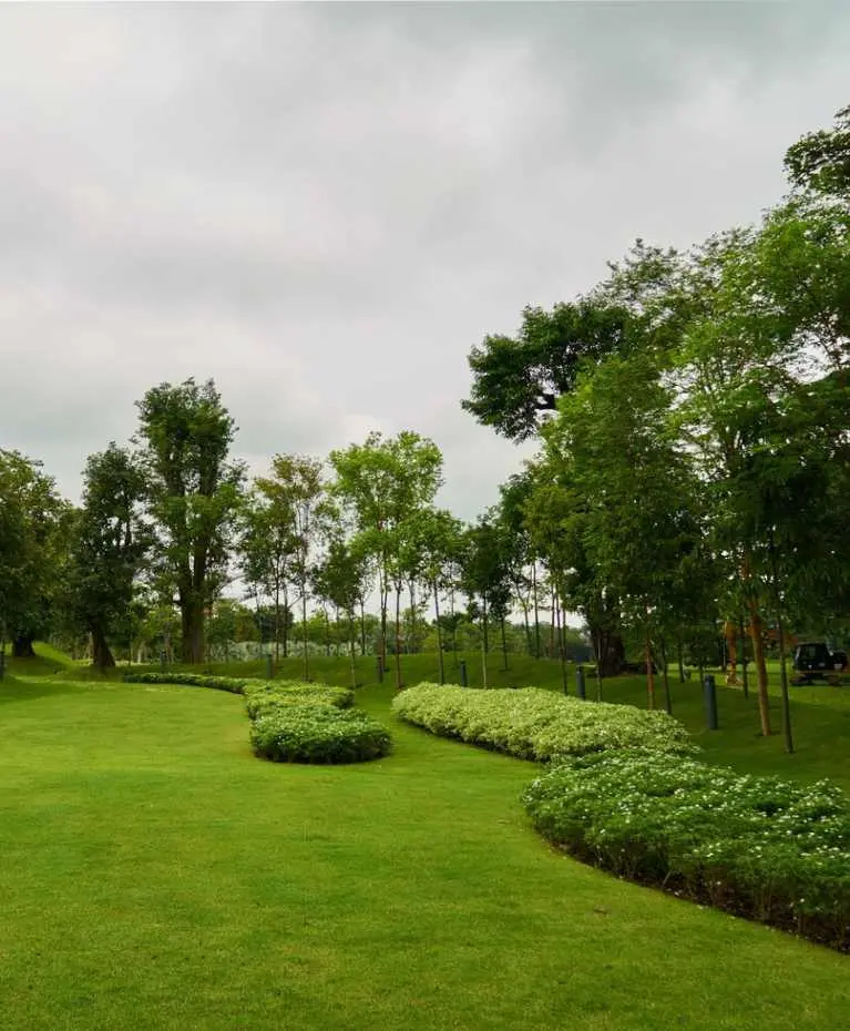 american grass lawn installation service