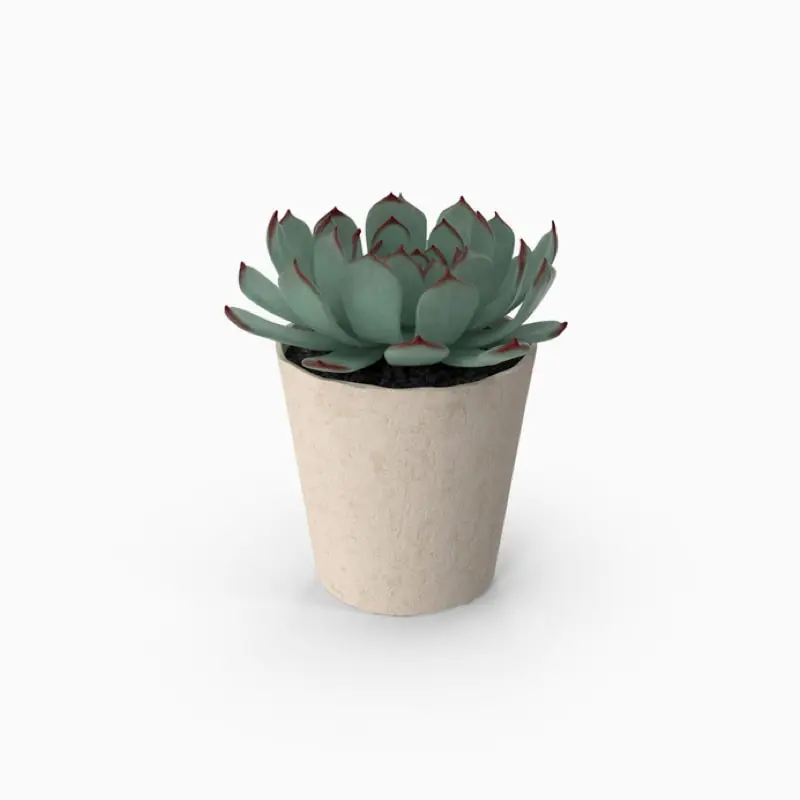 product-09