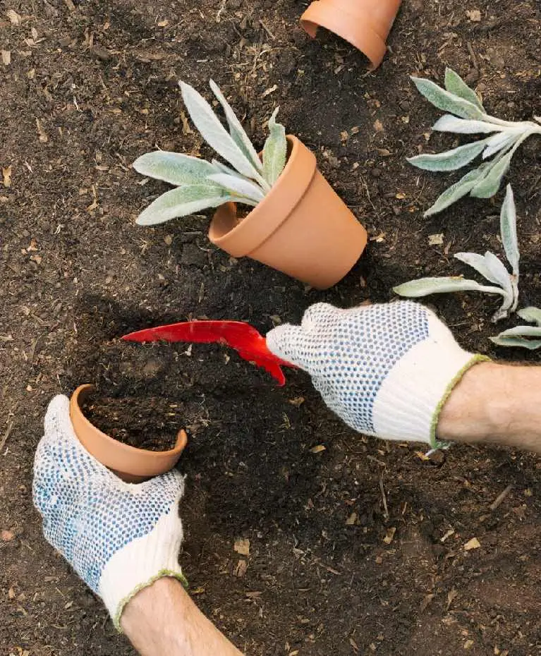 soil-treatment